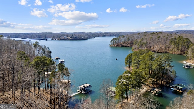 property view of water with a wooded view