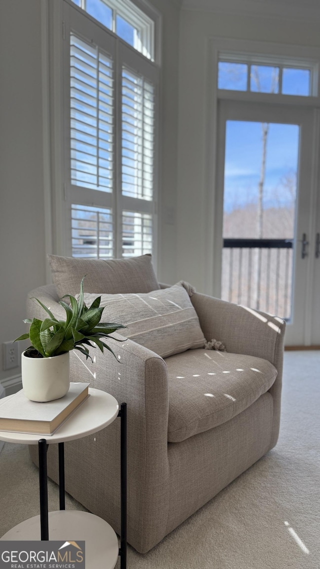 view of carpeted living area