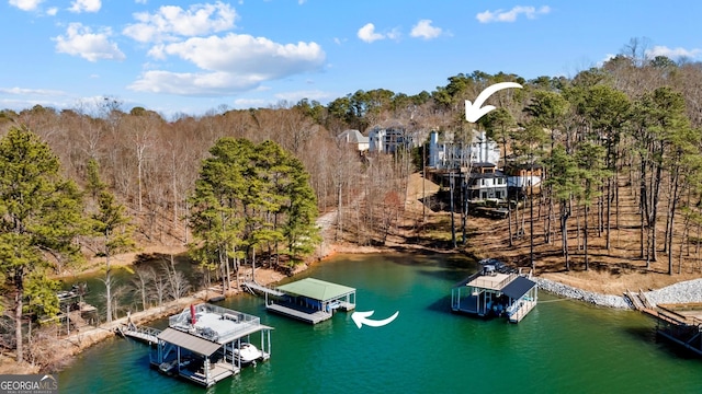 view of dock featuring boat lift and a water view