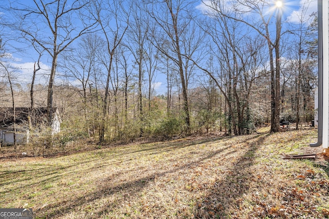 view of yard featuring a view of trees