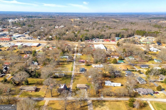 bird's eye view