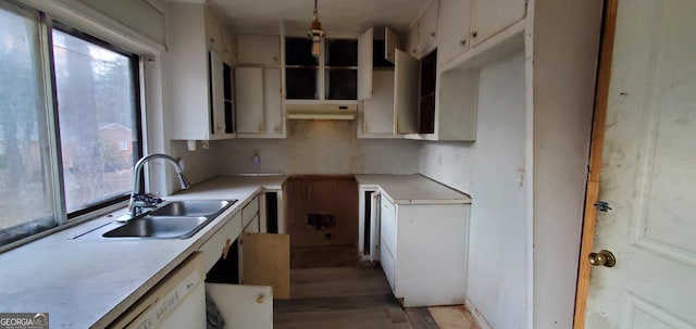 kitchen featuring a sink, light countertops, light wood-style floors, under cabinet range hood, and dishwasher