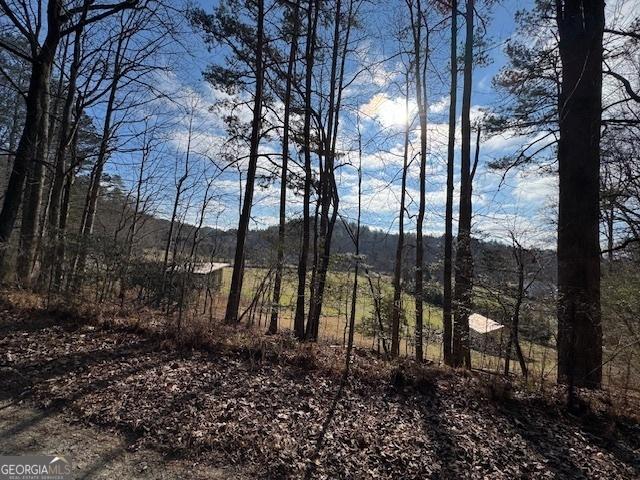 Listing photo 2 for LOT7 Hidden Valley Trl, Ellijay GA 30540