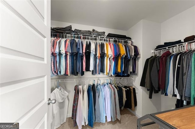 spacious closet featuring carpet flooring