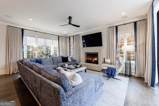 living area featuring dark wood-style floors, a warm lit fireplace, and a wealth of natural light