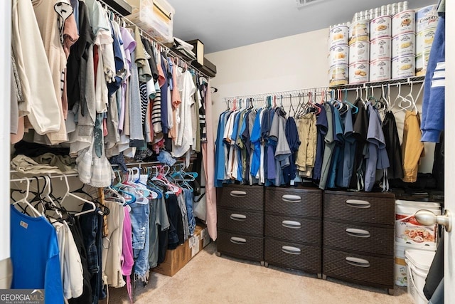 spacious closet with carpet