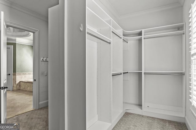 view of spacious closet