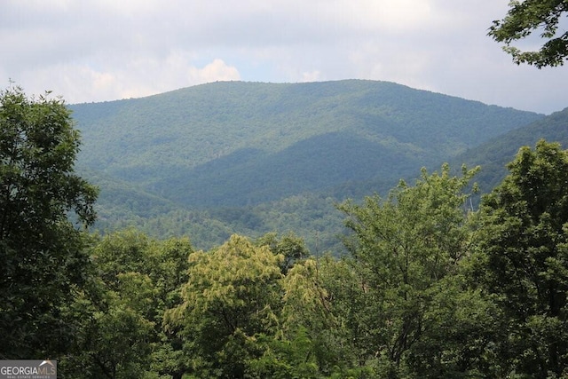 view of mountain feature featuring a view of trees