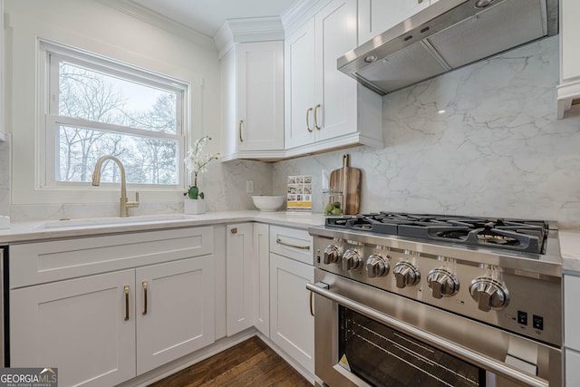 kitchen featuring under cabinet range hood, high end stainless steel range oven, a sink, backsplash, and crown molding