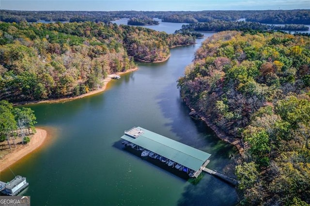 drone / aerial view with a view of trees and a water view