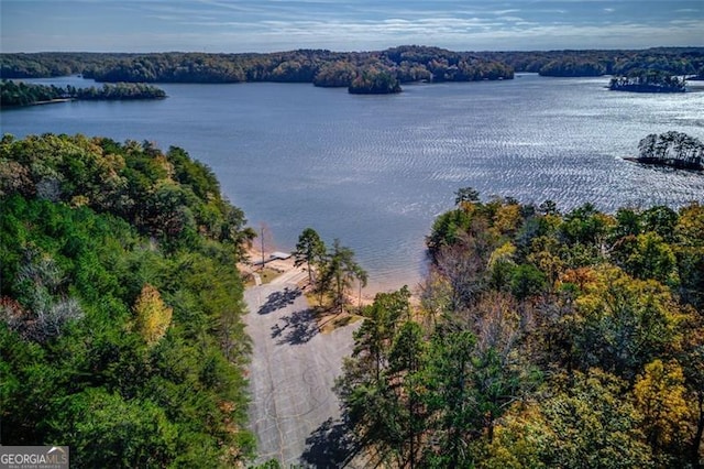 bird's eye view with a water view and a view of trees