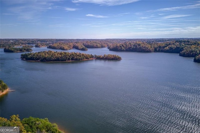 aerial view with a view of trees and a water view