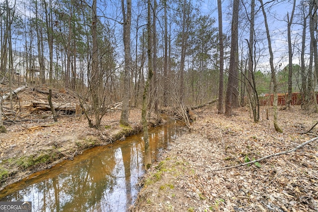 view of local wilderness featuring a wooded view