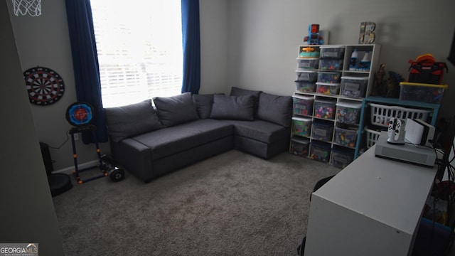 living room with carpet floors