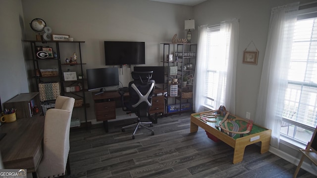 office featuring wood finished floors