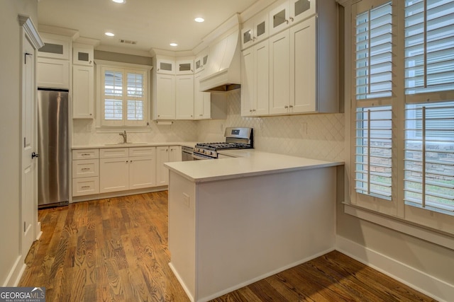 kitchen featuring dark wood-style floors, appliances with stainless steel finishes, a peninsula, premium range hood, and a sink