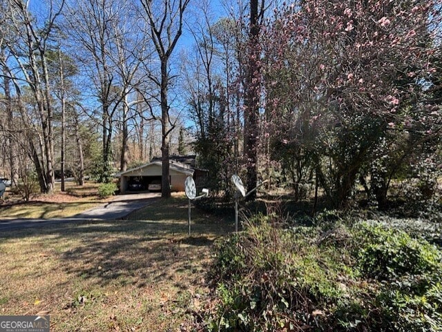 view of yard featuring an attached carport