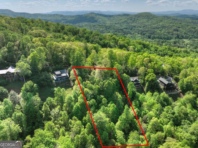 5 Lakeview Dr, Blue Ridge, GA 30513