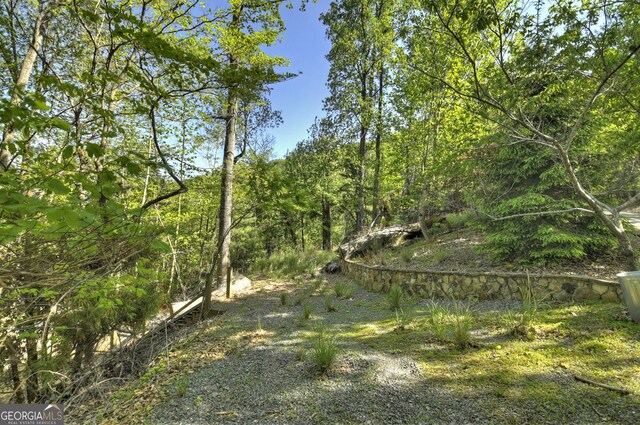 5 Lakeview Dr, Blue Ridge, GA 30513