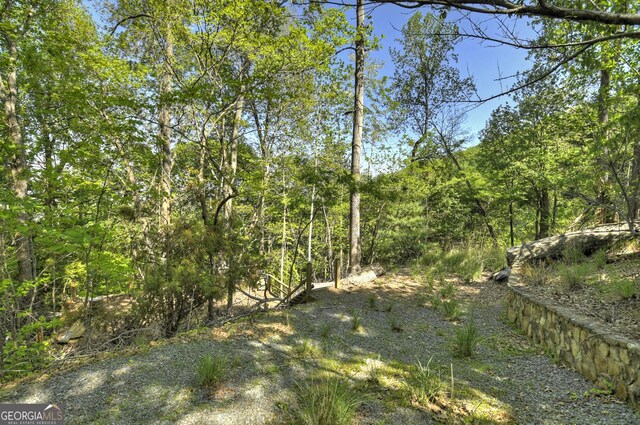 5 Lakeview Dr, Blue Ridge, GA 30513