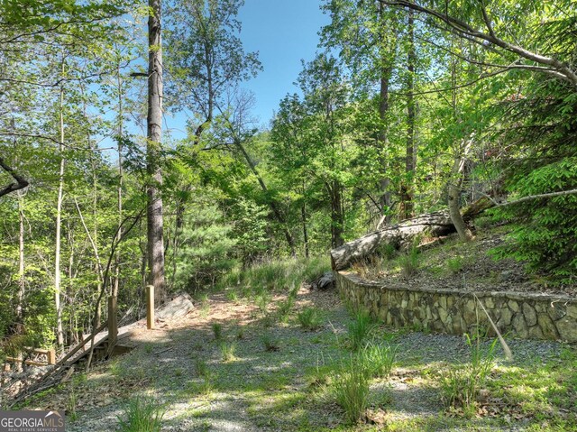 5 Lakeview Dr, Blue Ridge, GA 30513