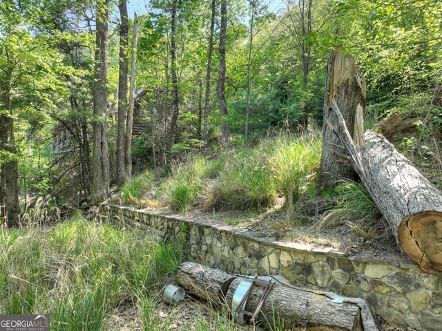 5 Lakeview Dr, Blue Ridge, GA 30513