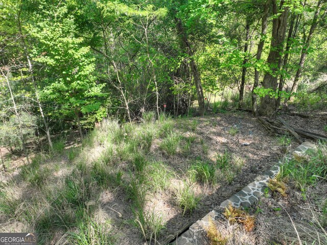 5 Lakeview Dr, Blue Ridge, GA 30513