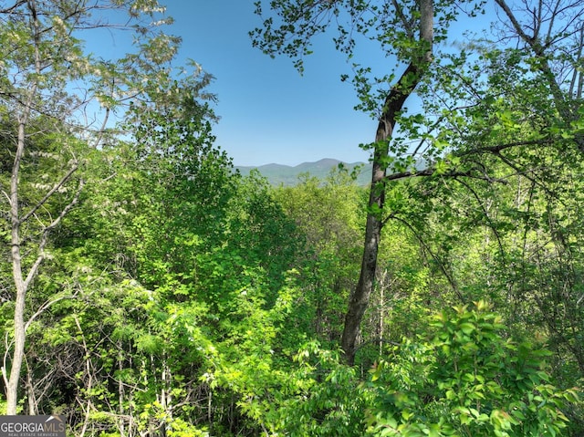 5 Lakeview Dr, Blue Ridge, GA 30513