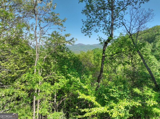 5 Lakeview Dr, Blue Ridge, GA 30513