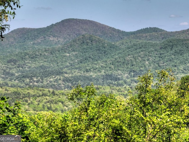 5 Lakeview Dr, Blue Ridge, GA 30513