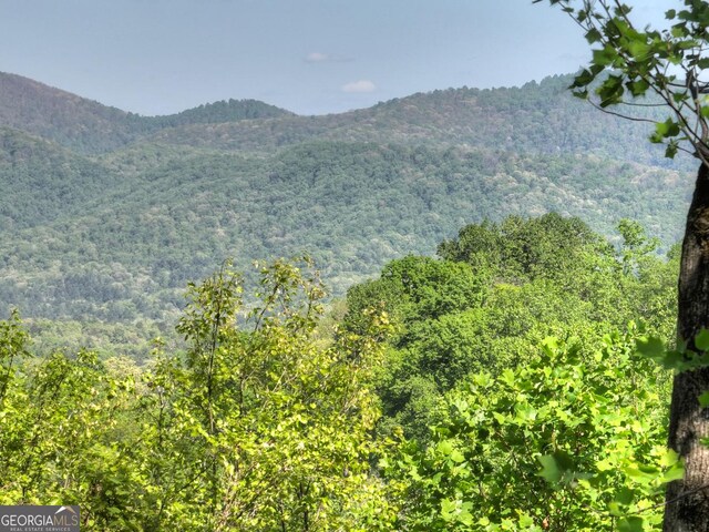5 Lakeview Dr, Blue Ridge, GA 30513