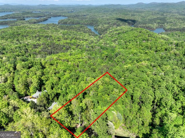 5 Lakeview Dr, Blue Ridge, GA 30513