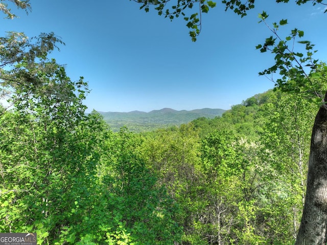 5 Lakeview Dr, Blue Ridge, GA 30513