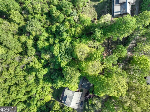 5 Lakeview Dr, Blue Ridge, GA 30513