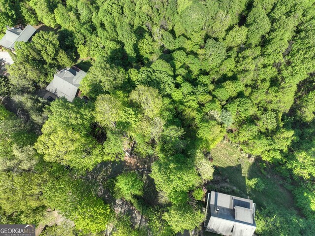 5 Lakeview Dr, Blue Ridge, GA 30513