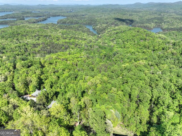 5 Lakeview Dr, Blue Ridge, GA 30513