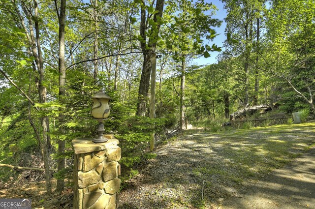5 Lakeview Dr, Blue Ridge, GA 30513