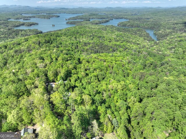 5 Lakeview Dr, Blue Ridge, GA 30513