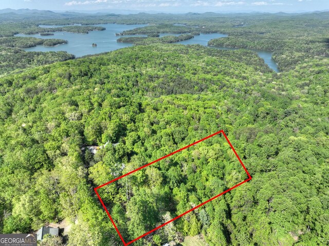 5 Lakeview Dr, Blue Ridge, GA 30513