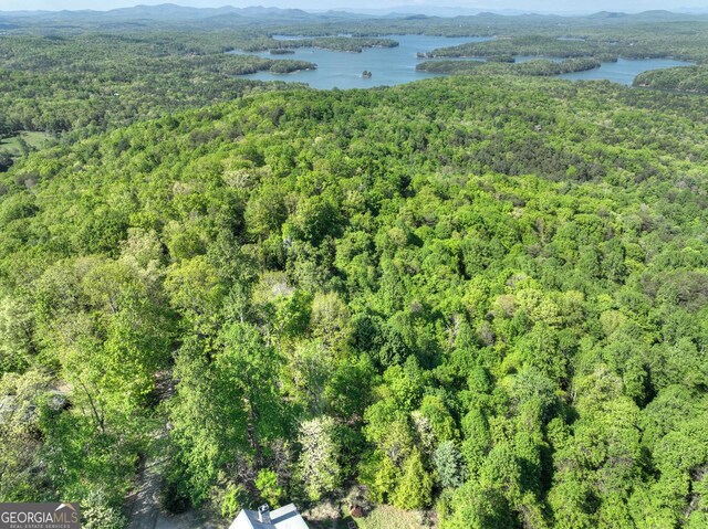 5 Lakeview Dr, Blue Ridge, GA 30513