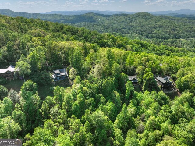 5 Lakeview Dr, Blue Ridge, GA 30513