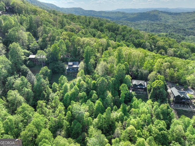 5 Lakeview Dr, Blue Ridge, GA 30513