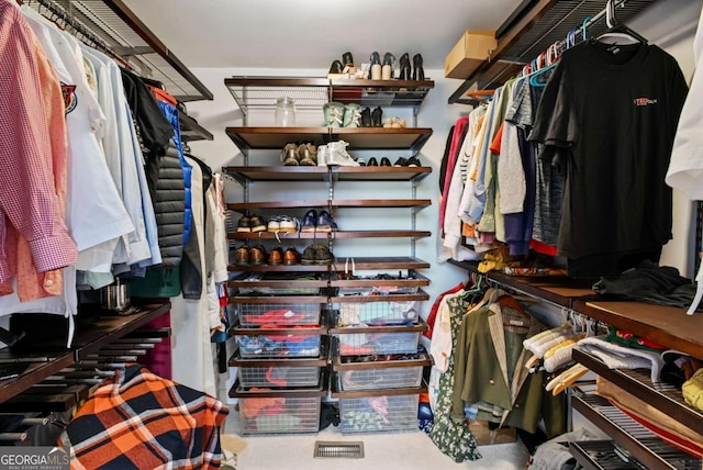 view of spacious closet