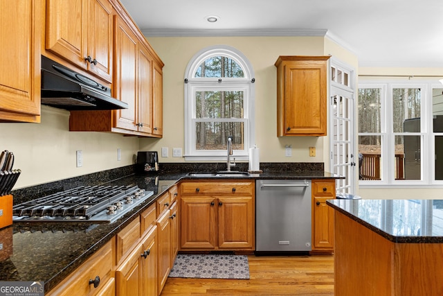 kitchen featuring under cabinet range hood, a sink, light wood-style floors, appliances with stainless steel finishes, and crown molding