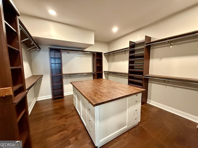 walk in closet featuring dark wood-style floors