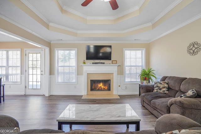 living area featuring a tray ceiling, dark wood finished floors, a wealth of natural light, and a high end fireplace