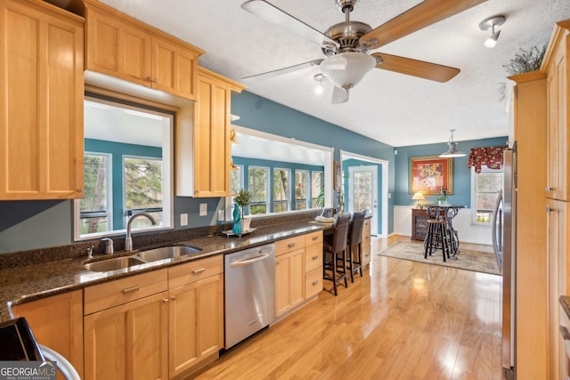 kitchen with appliances with stainless steel finishes, a healthy amount of sunlight, a sink, and light wood-style floors