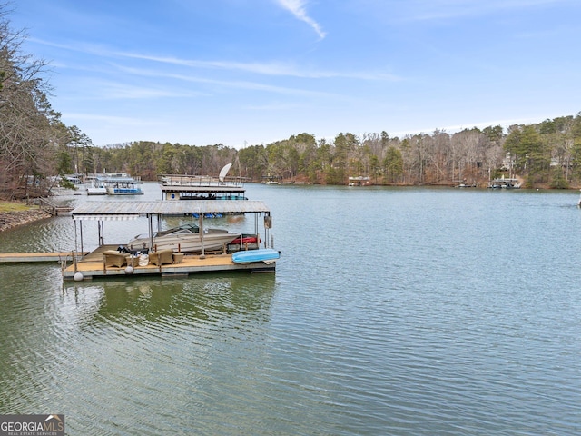 dock area featuring a water view and a view of trees