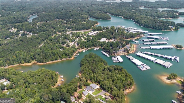 bird's eye view with a water view and a forest view