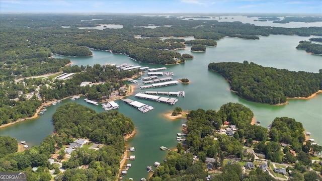 bird's eye view with a forest view and a water view